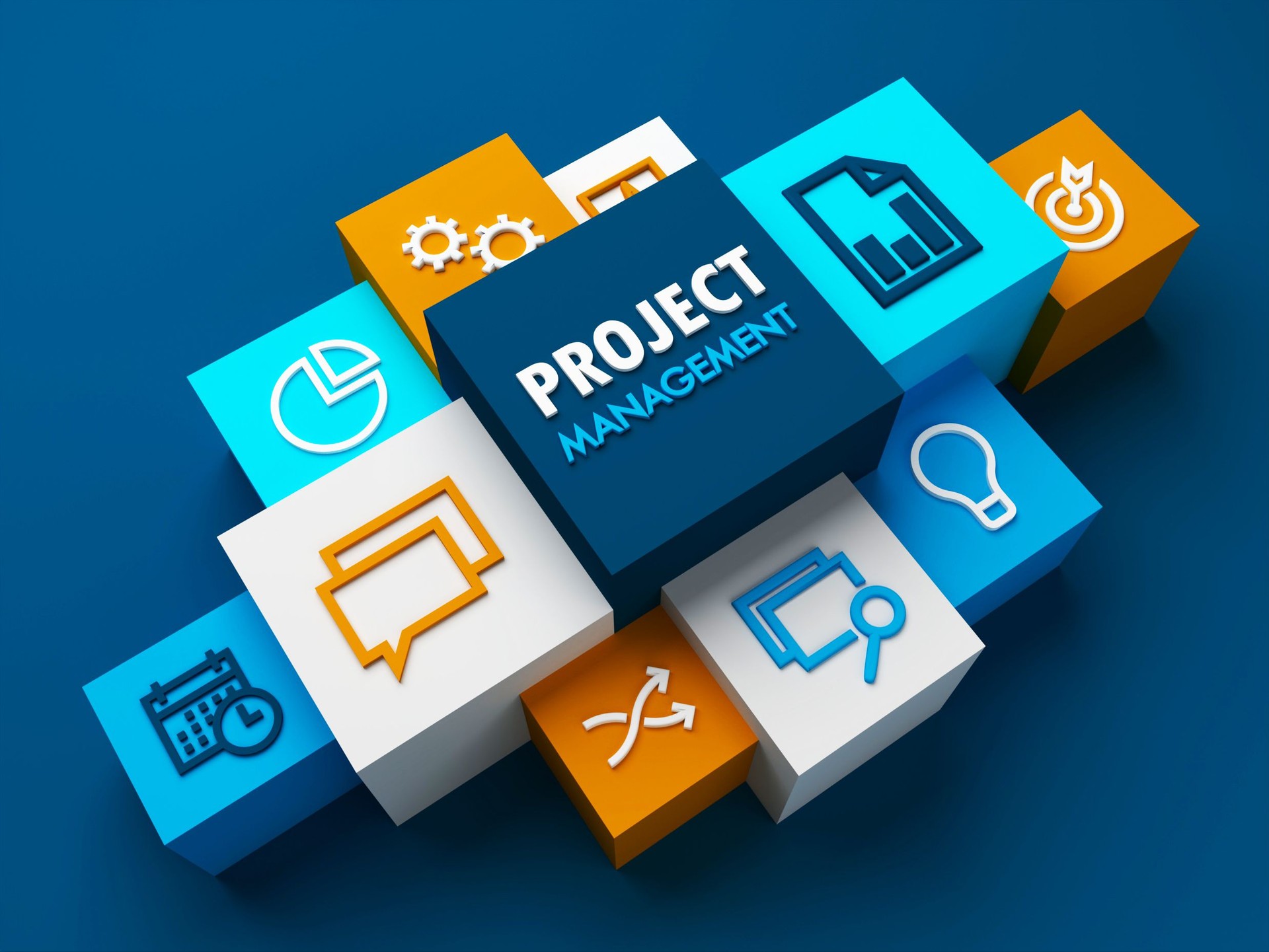 3D render of perspective of PROJECT MANAGEMENT business concept